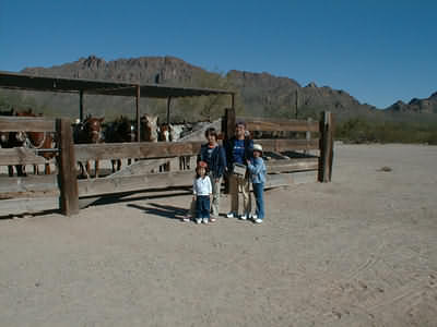 Image 3 of 6  -  14 kB